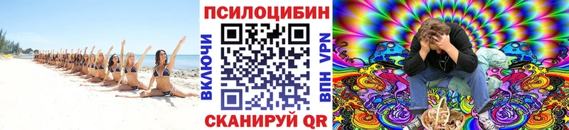 Псилоцибиновые грибы MAGIC MUSHROOMS  Купить где  Рыльск 